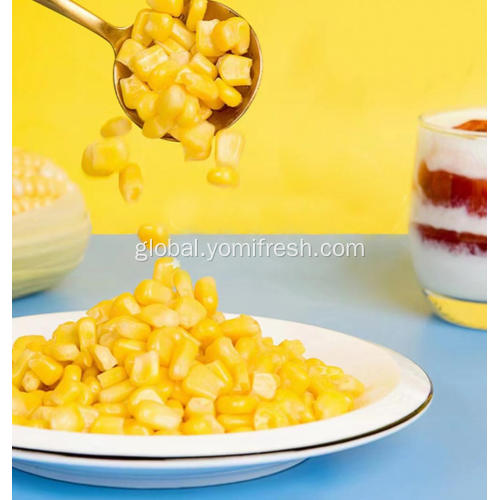 Fresh Corn Cob Sweet Corn Seeds Organic Factory